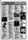 Derry Journal Tuesday 09 February 1993 Page 53