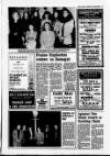 Derry Journal Tuesday 13 April 1993 Page 17