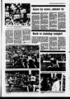 Derry Journal Tuesday 11 May 1993 Page 39