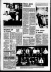 Derry Journal Tuesday 25 May 1993 Page 43