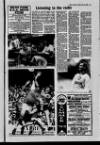 Derry Journal Tuesday 06 July 1993 Page 39