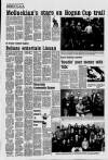 Derry Journal Friday 08 April 1994 Page 17