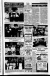 Derry Journal Friday 09 September 1994 Page 29