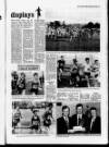 Derry Journal Tuesday 25 October 1994 Page 29