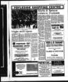 Derry Journal Tuesday 26 September 1995 Page 25