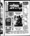 Derry Journal Tuesday 26 September 1995 Page 41