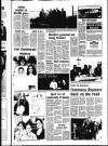 Derry Journal Friday 03 November 1995 Page 33