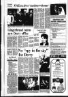 Derry Journal Friday 15 December 1995 Page 47