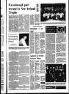 Derry Journal Friday 22 December 1995 Page 39