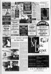 Derry Journal Friday 05 January 1996 Page 13