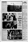Derry Journal Friday 14 February 1997 Page 29