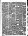 Halstead Gazette Thursday 11 November 1869 Page 3