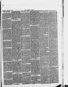 Halstead Gazette Thursday 07 February 1889 Page 3