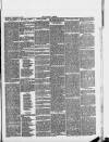 Halstead Gazette Thursday 21 February 1889 Page 3