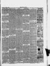 Halstead Gazette Thursday 07 March 1889 Page 7