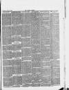 Halstead Gazette Thursday 21 March 1889 Page 3