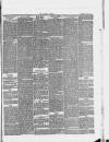 Halstead Gazette Thursday 21 March 1889 Page 5