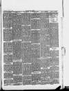 Halstead Gazette Thursday 04 April 1889 Page 7