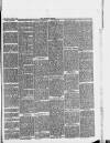 Halstead Gazette Thursday 02 May 1889 Page 3