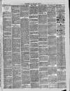 Halstead Gazette Thursday 24 October 1889 Page 3