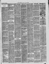 Halstead Gazette Thursday 31 October 1889 Page 3