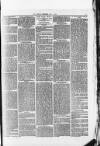 Prescot Reporter Saturday 03 May 1879 Page 3