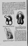 Dublin Hospital Gazette Monday 02 July 1860 Page 8