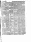 Bridport News Saturday 13 January 1866 Page 3