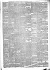 Bridport News Friday 26 January 1877 Page 3