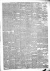 Bridport News Friday 23 March 1877 Page 3