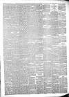 Bridport News Friday 04 May 1877 Page 3