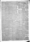 Bridport News Friday 11 May 1877 Page 3