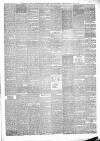 Bridport News Friday 01 June 1877 Page 3