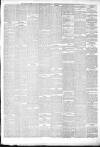 Bridport News Friday 16 January 1880 Page 3