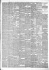 Bridport News Friday 20 February 1880 Page 3