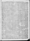 Bridport News Friday 07 January 1881 Page 3