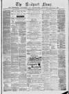 Bridport News Friday 17 June 1881 Page 1
