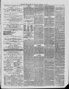 Bridport News Friday 25 January 1889 Page 3