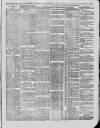 Bridport News Friday 03 May 1889 Page 7