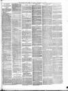 Bridport News Friday 24 January 1890 Page 7