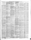 Bridport News Friday 21 February 1890 Page 7
