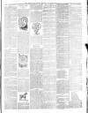 Bridport News Friday 28 July 1893 Page 7
