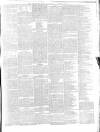 Bridport News Friday 03 January 1896 Page 5