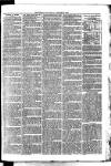 Whitchurch Herald Saturday 02 January 1875 Page 3