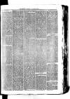 Whitchurch Herald Saturday 02 January 1875 Page 7
