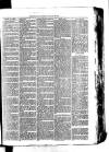 Whitchurch Herald Saturday 09 January 1875 Page 3