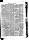 Whitchurch Herald Saturday 09 January 1875 Page 7