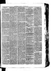 Whitchurch Herald Saturday 16 January 1875 Page 3