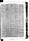 Whitchurch Herald Saturday 16 January 1875 Page 7