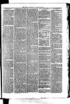 Whitchurch Herald Saturday 23 January 1875 Page 3